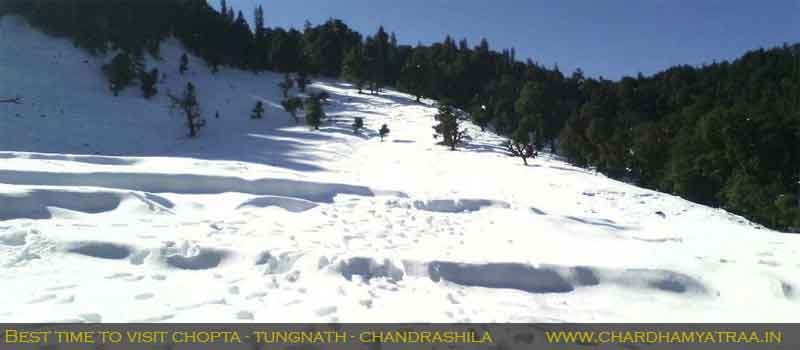 Best Time to Visit Chopta