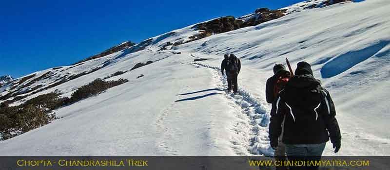 Chopta Chandrashila Trek